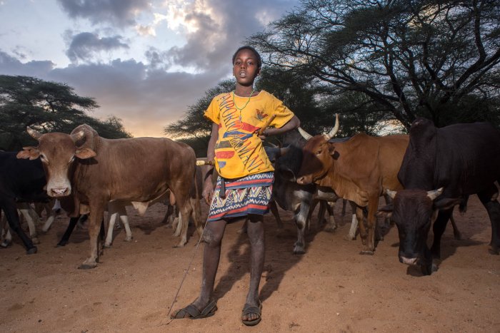 Lchekutis, los niños pastores masai